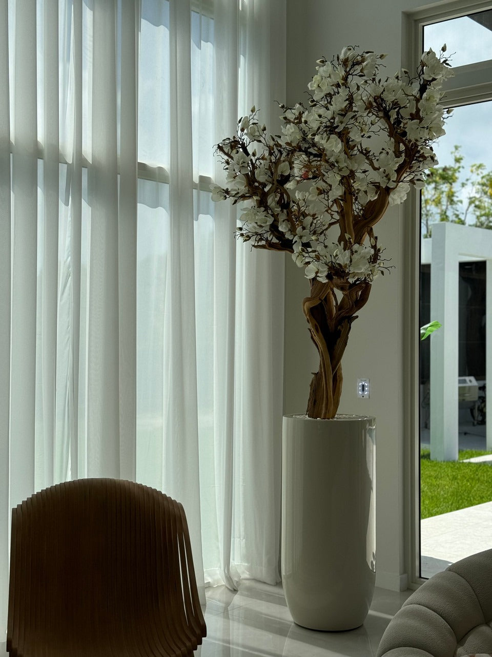 10ft White Magnolia Tree in Glossy Beige St. Tropez Planter