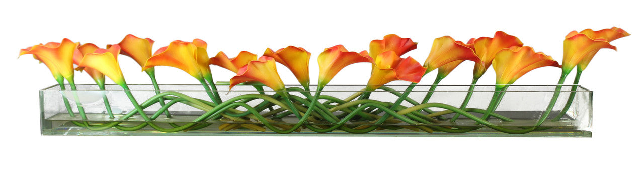 48″ Casa Moderna glass plate planter with mango callas