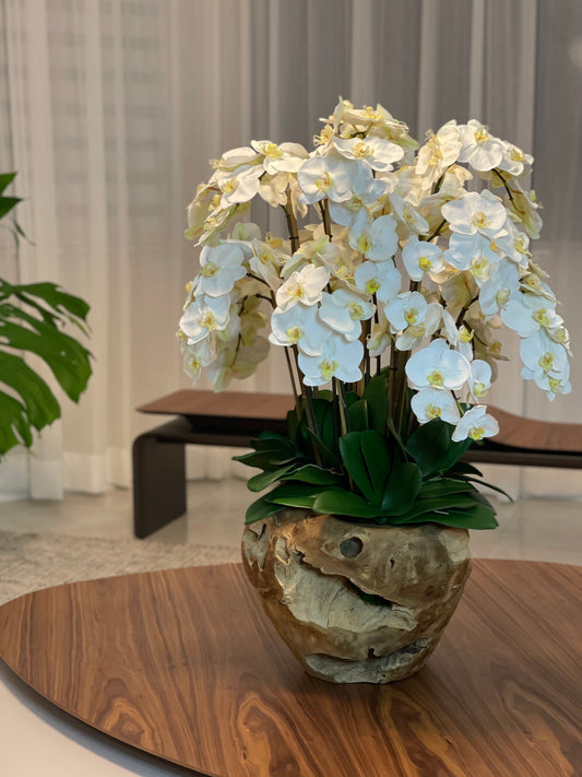 Extra Large Rustic Teak Bowl with Cascading White Orchids