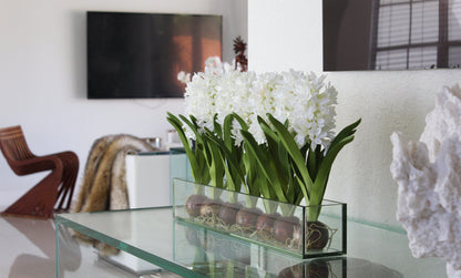 36″ Casa Moderna glass plate planter with white hyacinths