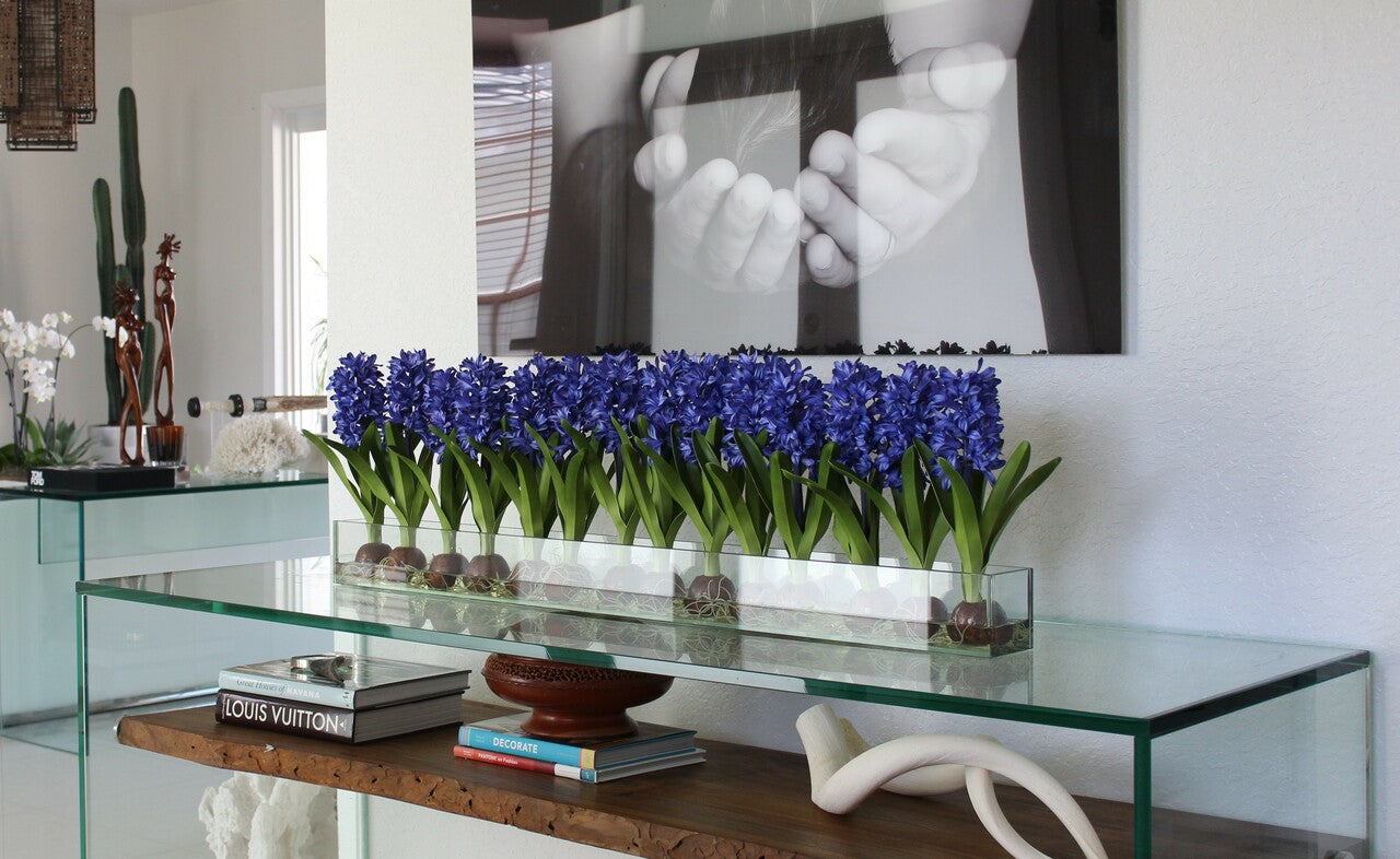 48″ Casa Moderna glass plate planter with blue hyacinths(Out of Stock)