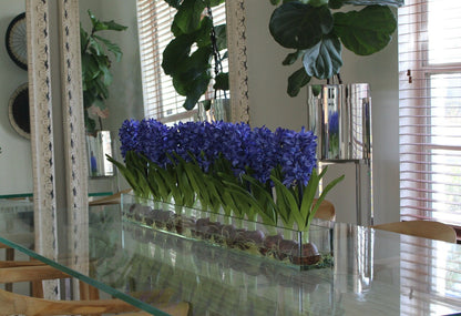 48″ Casa Moderna glass plate planter with blue hyacinths(Out of Stock)