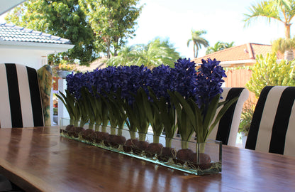 48″ Casa Moderna glass plate planter with blue hyacinths(Out of Stock)