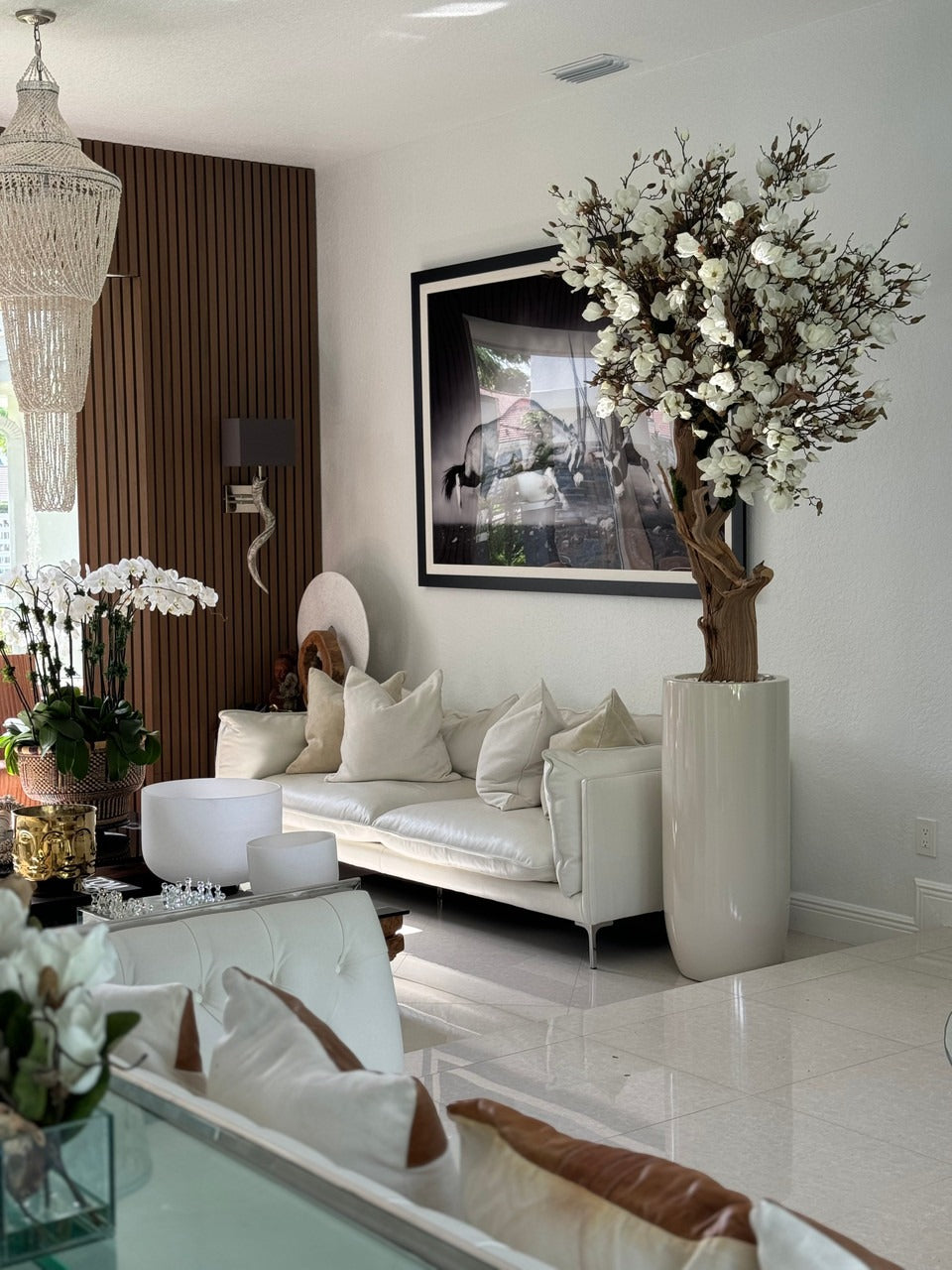 8ft White Magnolia Tree in Glossy Beige St. Tropez Planter