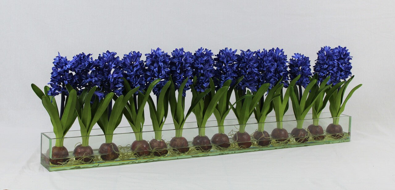 48″ Casa Moderna glass plate planter with blue hyacinths(Out of Stock)