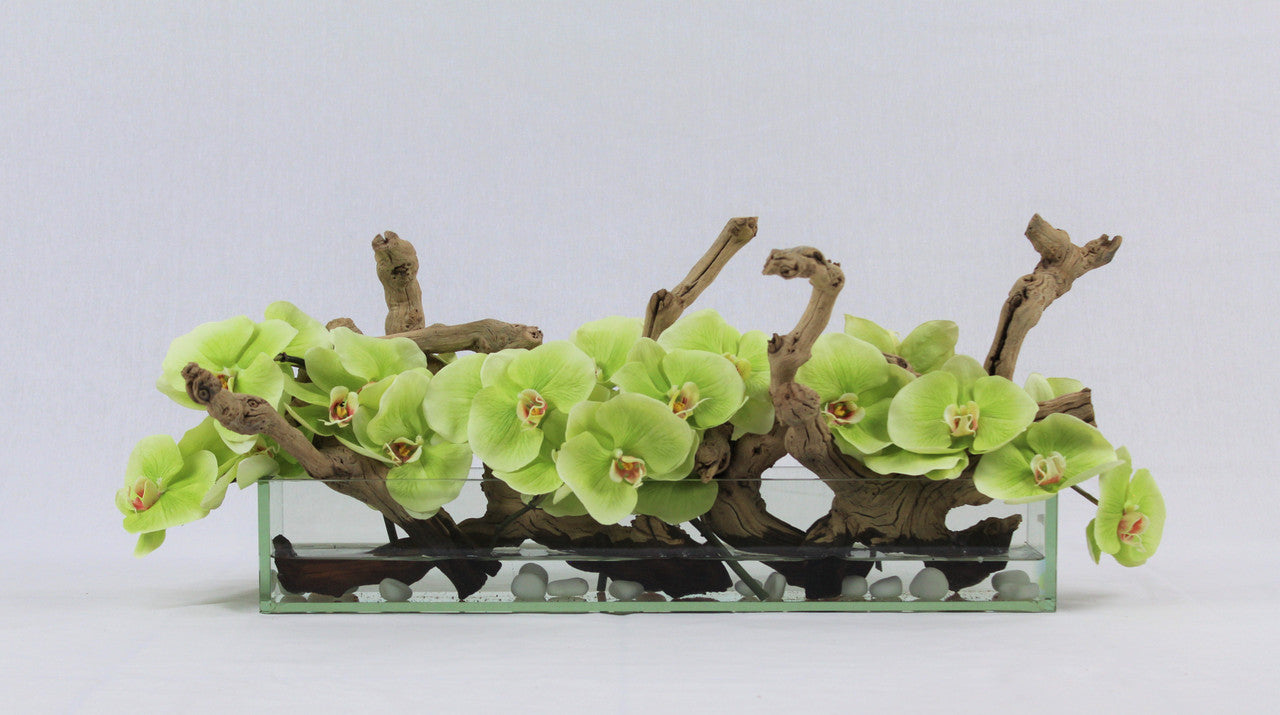 24″ Casa Moderna Glass Plate Planter with green orchids