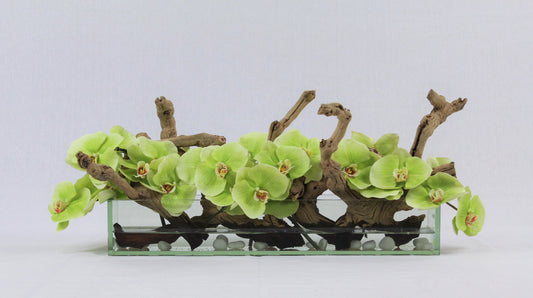 24″ Casa Moderna Glass Plate Planter with green orchids