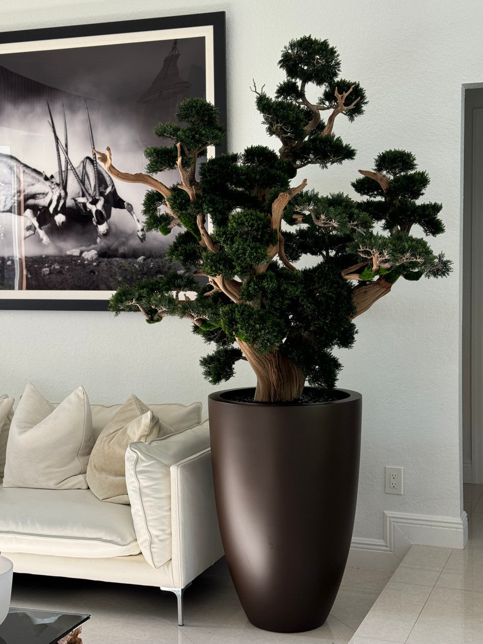 Oversized Bonsai in Matte Brown Brannan Planter