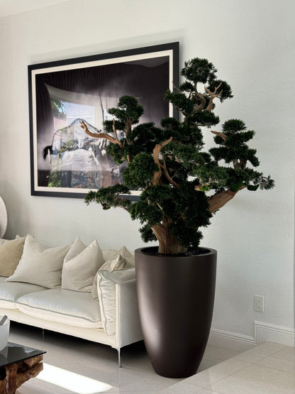 Oversized Bonsai in Matte Brown Brannan Planter