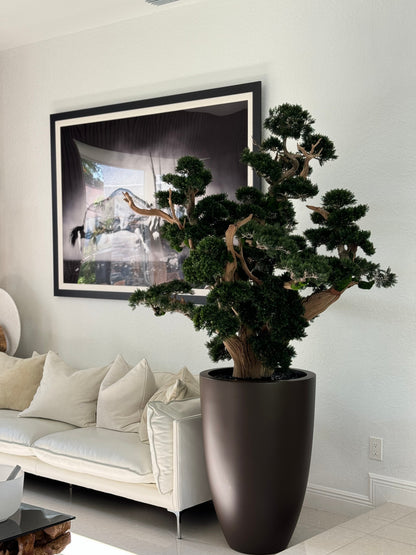 Oversized Bonsai in Matte Brown Brannan Planter