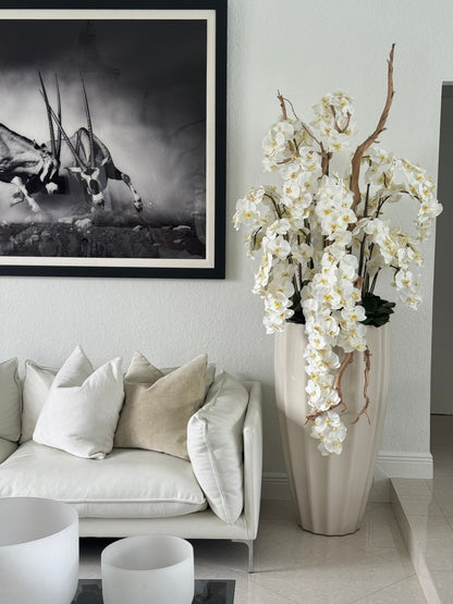 San Jose Planter in Sand Beige with Cascading White Orchids