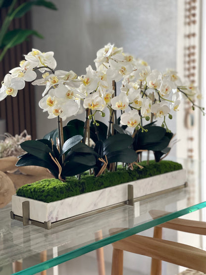 Marble tray on metal stand with mini-phaleanopsis orchid garden