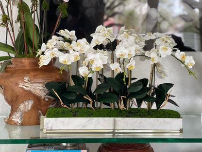 Marble tray on metal stand with mini-phaleanopsis orchid garden