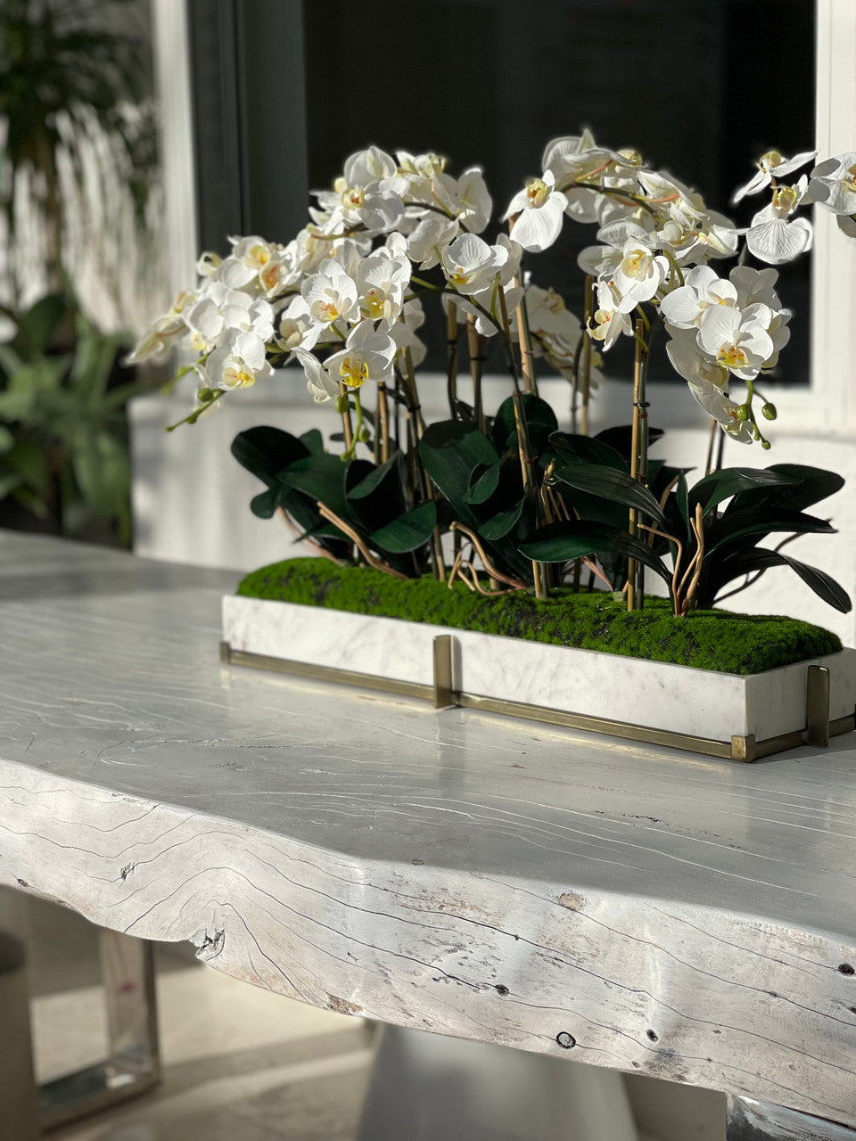 Marble tray on metal stand with mini-phaleanopsis orchid garden