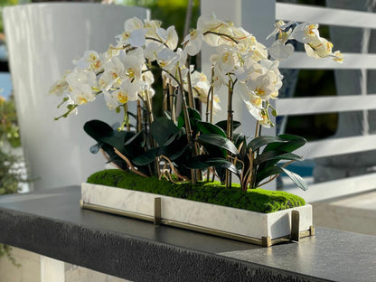 Marble tray on metal stand with mini-phaleanopsis orchid garden