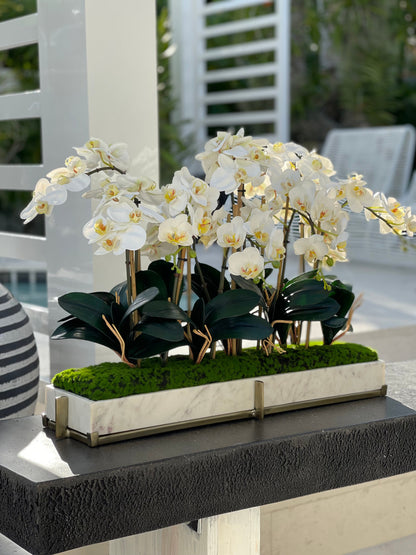 Marble tray on metal stand with mini-phaleanopsis orchid garden