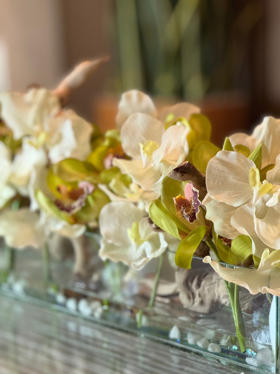 Casa Moderna with White Vandas and Green Cymbidiums