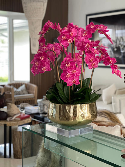 Pink Phalaenopsis Orchids Floral Arrangement in Large Gold Planter(Out of Stock)