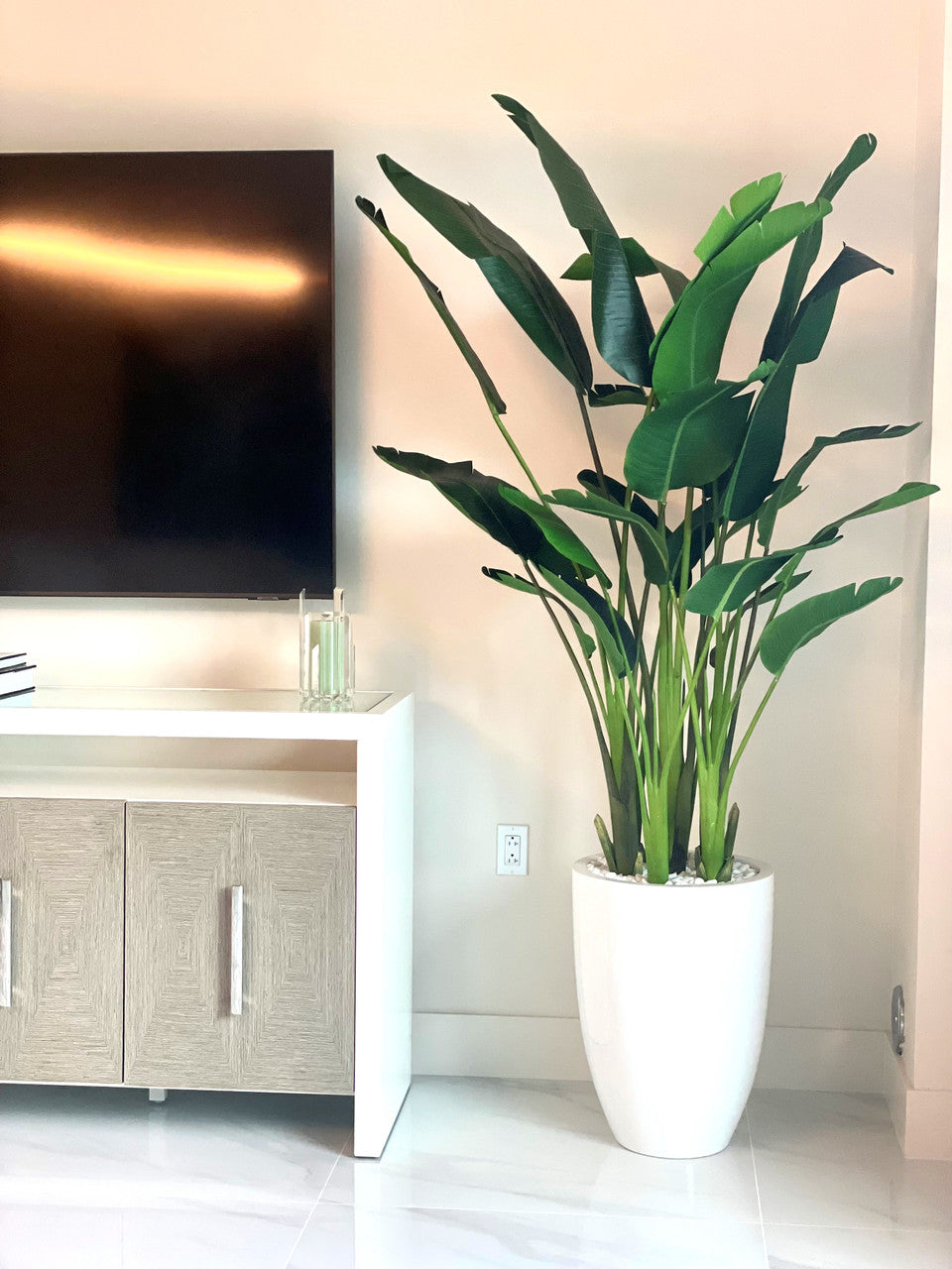 7 ft Bird of Paradise with Ben Planter in Glossy White