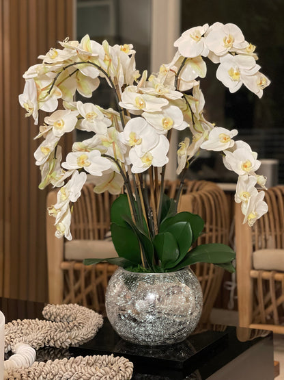 Orchids in Crackled Mirror Vase