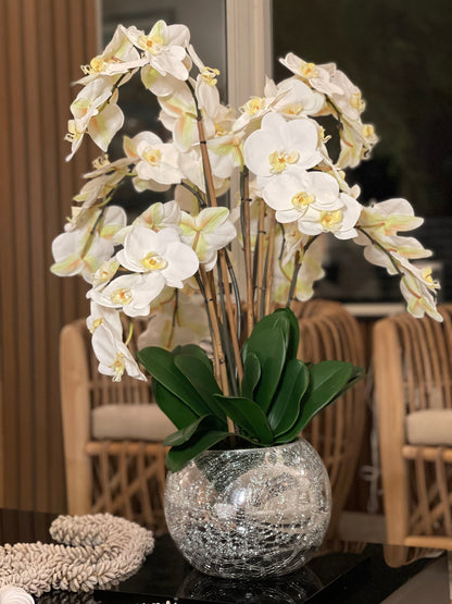 Orchids in Crackled Mirror Vase