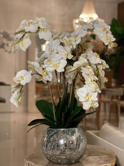 Orchids in Crackled Mirror Vase