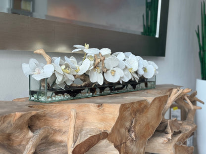 36″ Casa Moderna Glass Plate Planter with white Phalaenopsis orchids