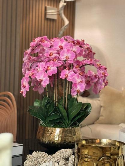 Light Pink Phalaenopsis Orchids Floral Arrangement in Medium Gold Planter