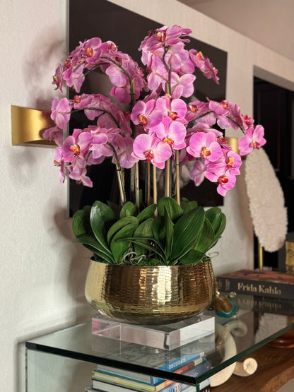 Light Pink Phalaenopsis Orchids Floral Arrangement in Medium Gold Planter