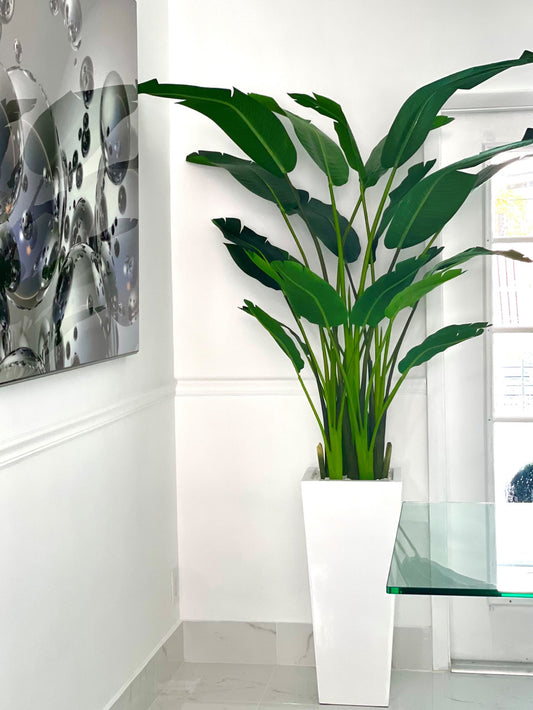 7 ft Bird of Paradise with Beau Planter