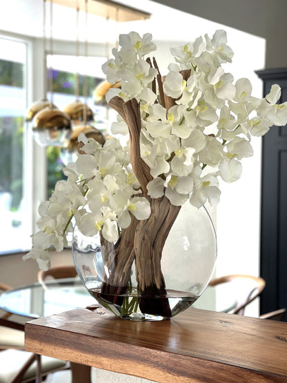 16″ Moon Vase with White Vanda Orchids