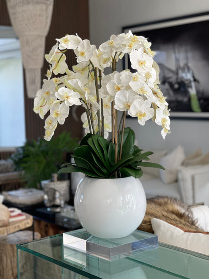 Beth Fiberglass Bowl with Phalaenopsis Orchids and Foliage