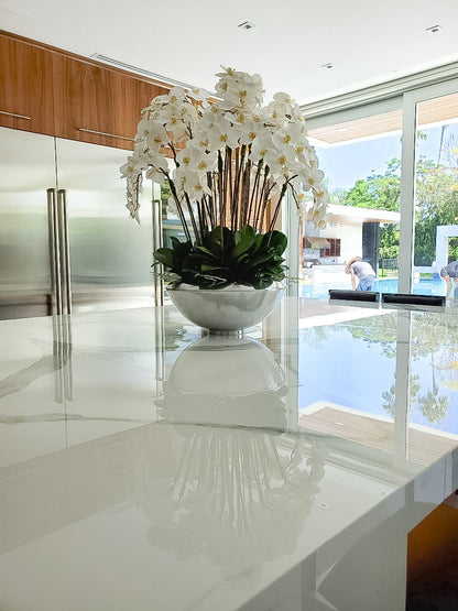 Avenue Bowl with White Phalaenopsis Orchids