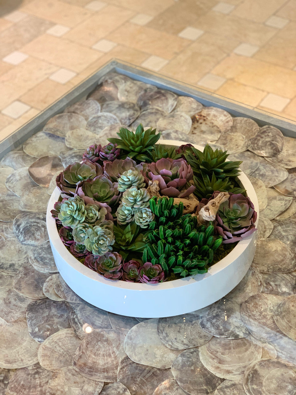 Max bowl with mixed succulents