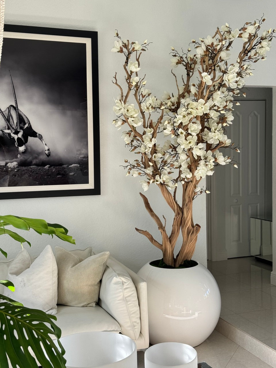 White Magnolia Tree in 30″ Glossy White Globe Planter