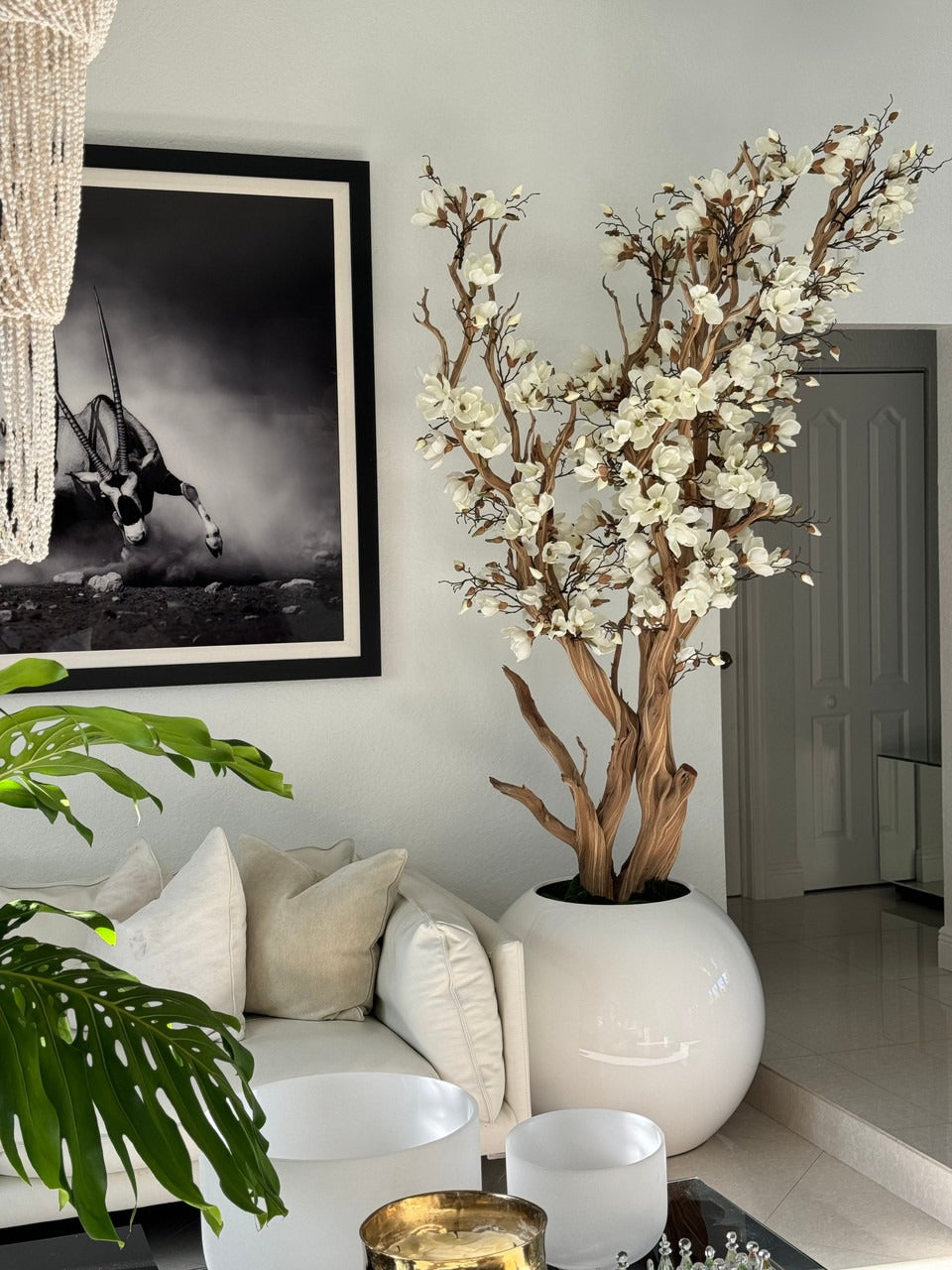 White Magnolia Tree in 30″ Glossy White Globe Planter