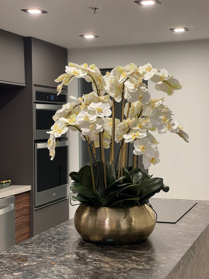 White Phalaenopsis Orchids In Gold Metal Bowie Bowl