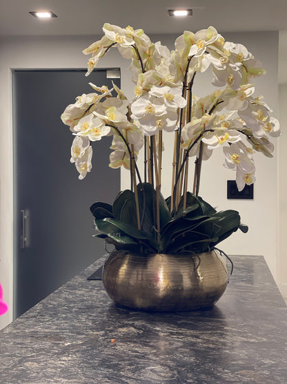 White Phalaenopsis Orchids In Gold Metal Bowie Bowl