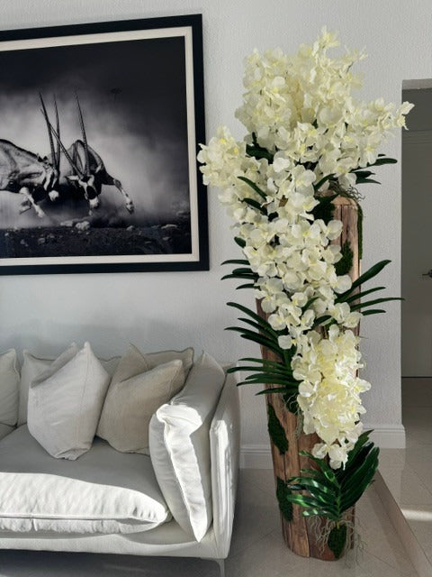 Large Live Edge Teak Vase with White Vanda Orchids