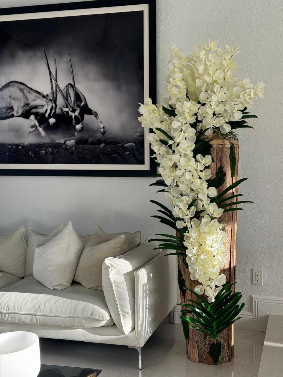 Large Live Edge Teak Vase with White Vanda Orchids