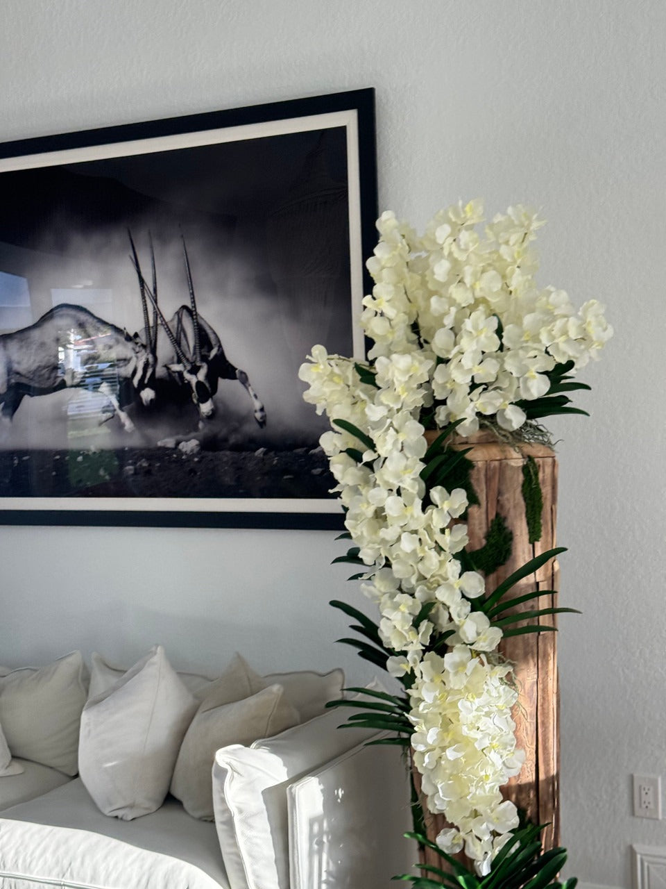 Large Live Edge Teak Vase with White Vanda Orchids