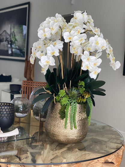 Delaney Gold Pot with Multiple Stems of Phalaenopsis Orchids and Succulents