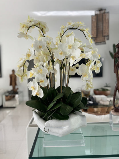 White Phalaenopsis  Orchids in  White Open Hands Sculpture Vase