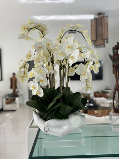 White Phalaenopsis  Orchids in  White Open Hands Sculpture Vase