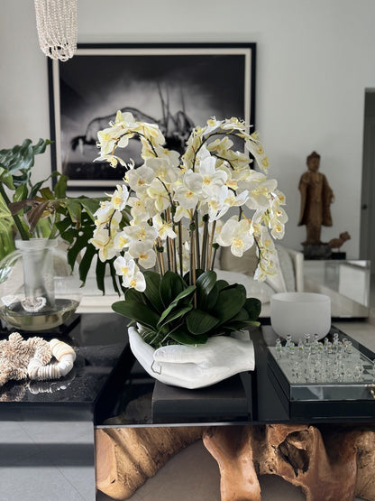 White Phalaenopsis  Orchids in  White Open Hands Sculpture Vase