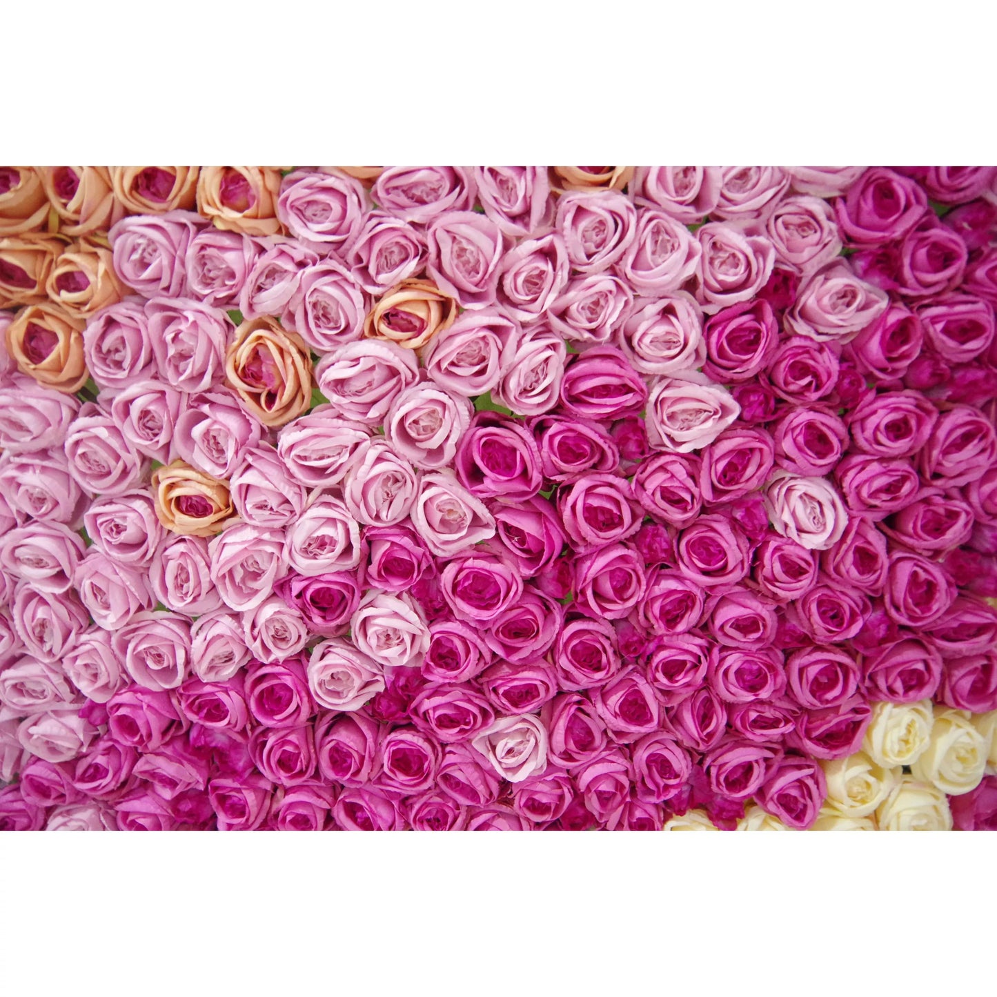 Roll Up Fabric Artificial Gradient Purple to Pink Flower Wall Wedding Backdrop, Floral Party Decor, Event Photography-VF-064