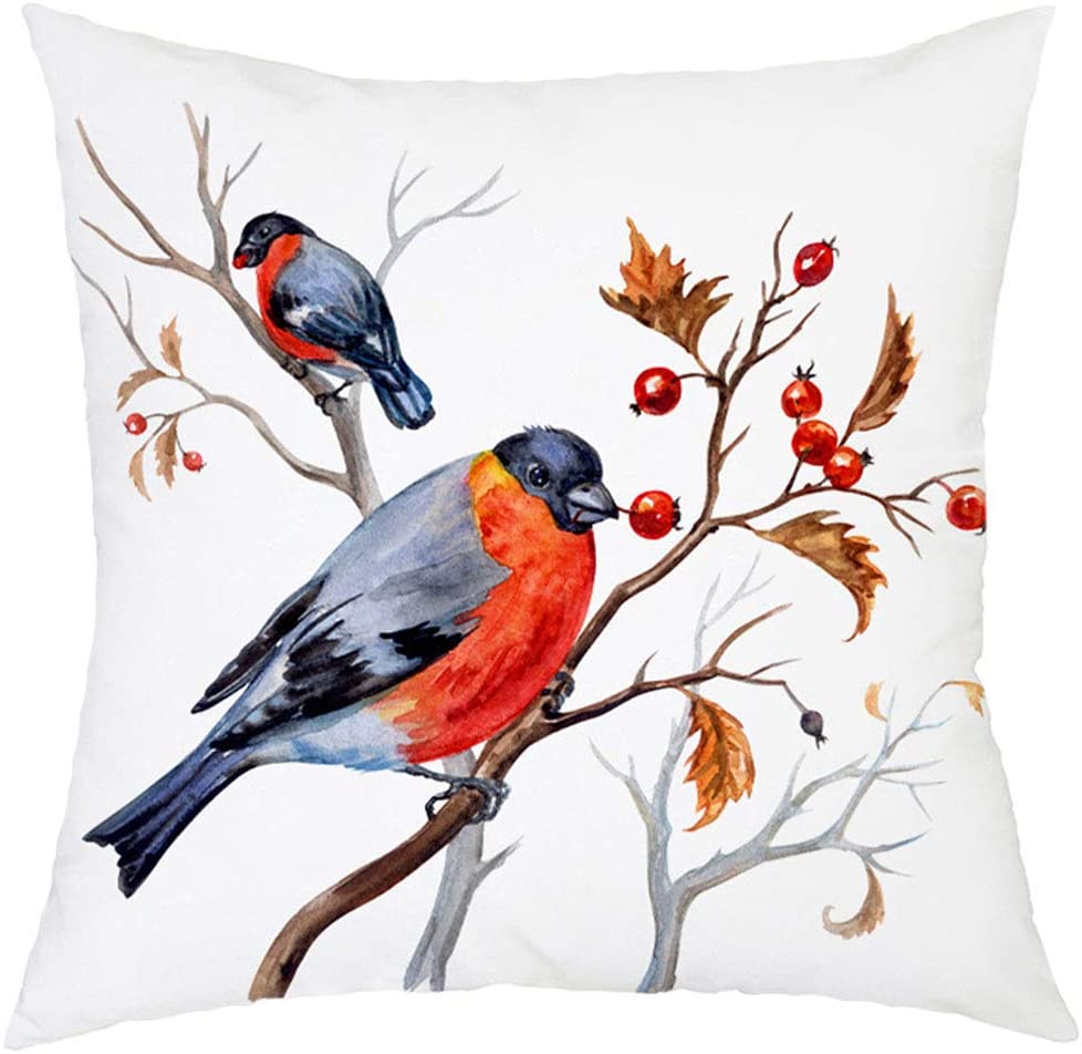 Feathered Friends Cushion Covers