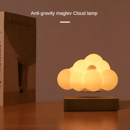 Maglev Cloud