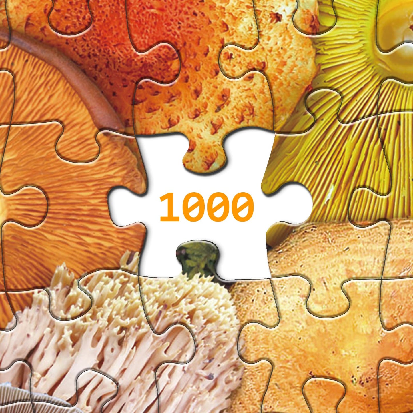 Mushroom Jigsaw Puzzle 1000 Pieces