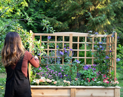 Natural Cedar Elevated Planter with U-Trellis